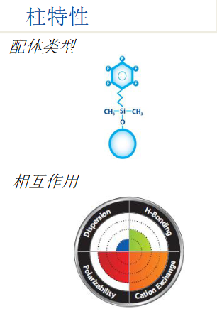 Restek Allure PFPP 9169512毒品专用液相色谱柱