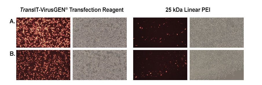 mirus Trans IT-VirusGEN&#174; 转染试剂