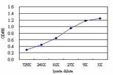 白细胞介素 6 BioAssay&trade; ELISA 试剂盒I8428-36