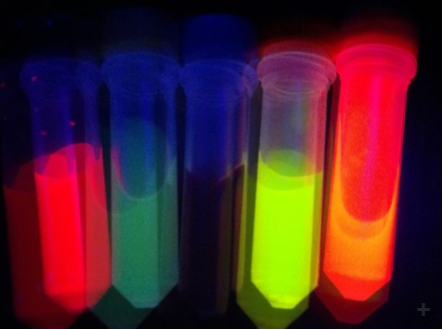 PEGylated DOPC/CHOL Liposomes labeled with DiIF60203F-DI