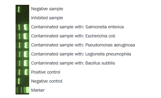 Minerva Biolabs   Onar&#174; Bacteria12-1025