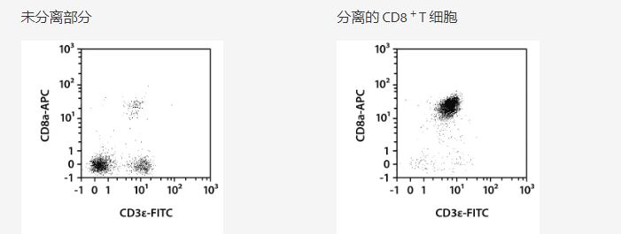 细胞分选-细胞分选详情