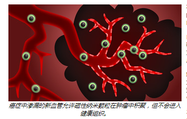 纳米探针资讯