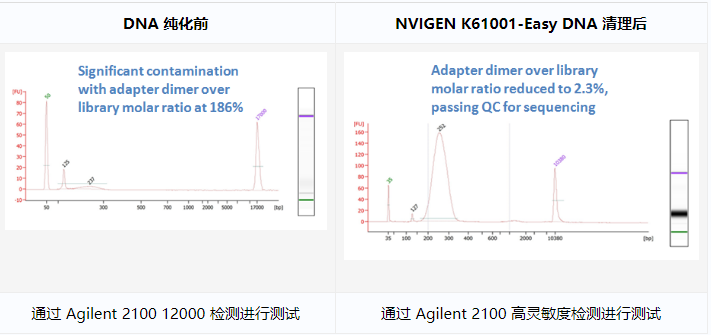 MagVigen&trade; DNA 纯化和尺寸选择试剂盒介绍