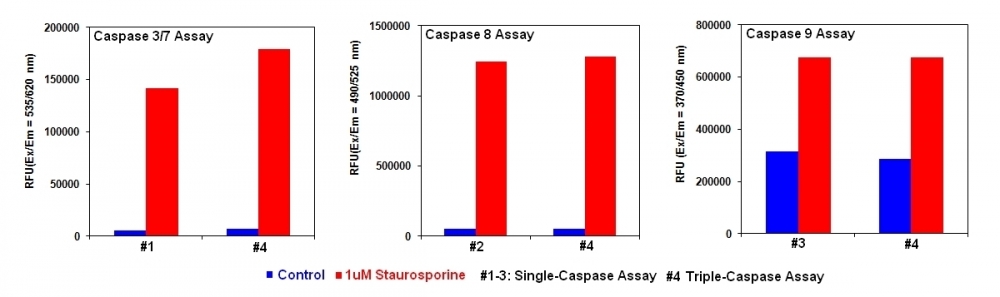 Cell Meter Caspase 3/7/8/9活性细胞凋亡复用检测试剂盒 三色荧光