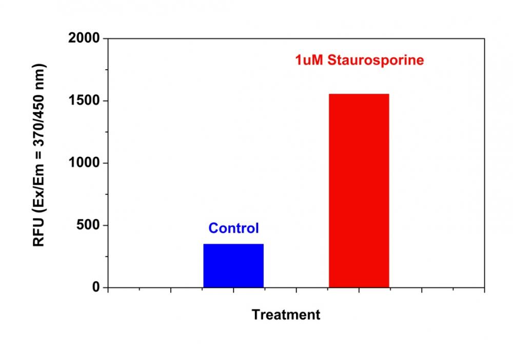 Cell Meter Caspase 8活性细胞凋亡检测试剂盒 蓝色荧光