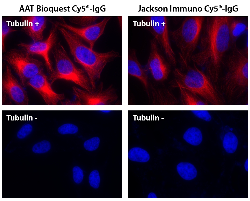 Cy5 NHS酯  CAS 146368-14-1