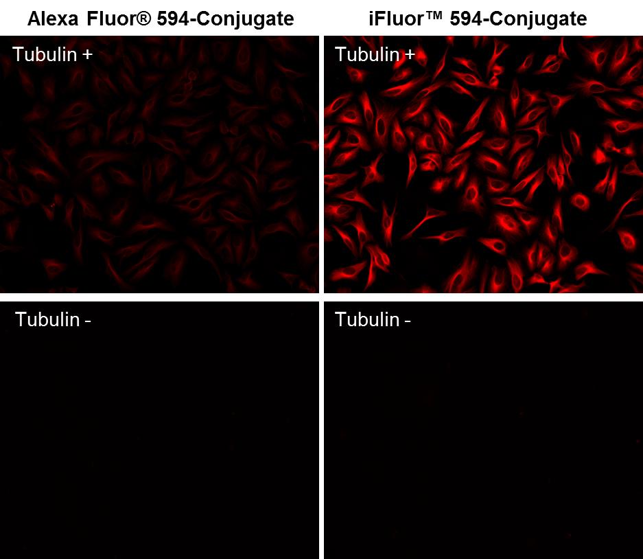 iFluor 594马来酰亚胺