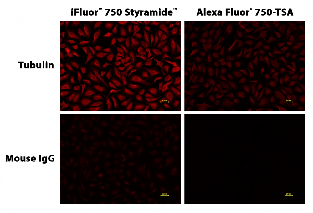 iFluor 750 Styramide * Alexa Fluor 750酪胺的优异替代品*